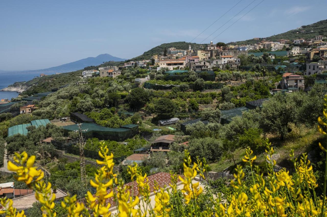 Neva Suites Massa Lubrense Sorrento Coast Exterior photo